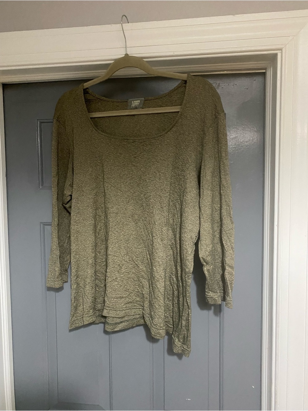 Blue Fish Light Olive Scoop Neck Long Sleeve Top